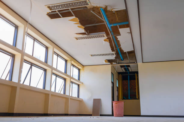 Best Water damage mitigation services  in Oak Trail Shores, TX