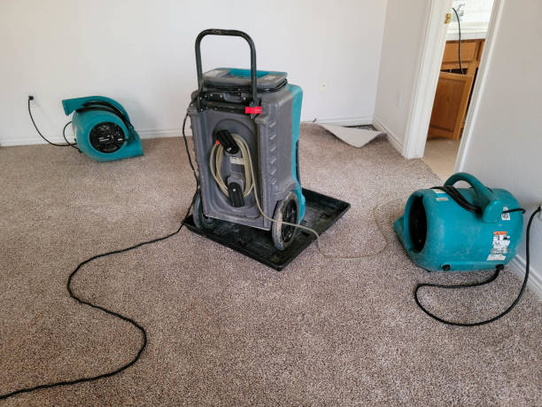 Best Mold removal after water damage  in Oak Trail Shores, TX