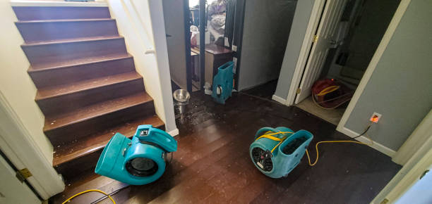 Best Water damage restoration near me  in Oak Trail Shores, TX