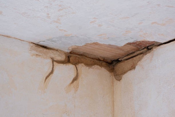 Best Local water damage restoration  in Oak Trail Shores, TX